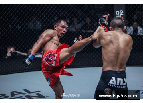 国外格斗比赛有哪些？(一场国际搏击比赛冠军多少奖金？)